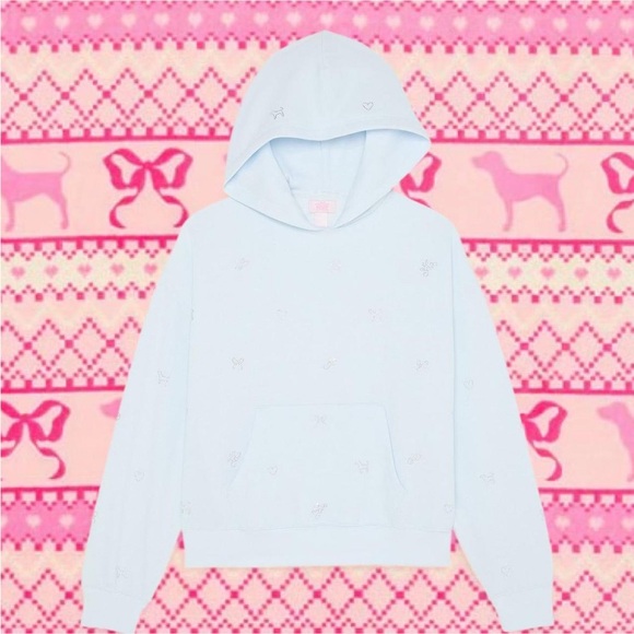 Blue Womens MEDIUM PINK LoveShackFancy oversized hoodie sweatshirt glacier mist - Picture 2 of 11